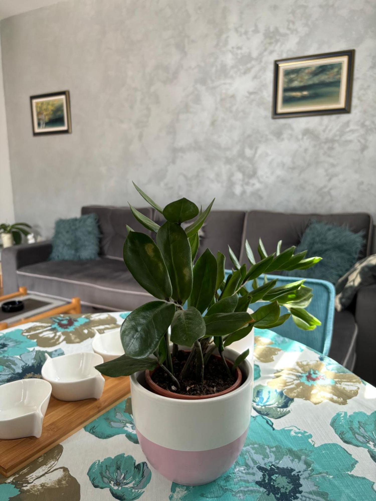Charming Stay In Budva Center With Parking Apartment Budva